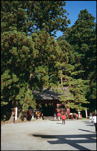 山寺